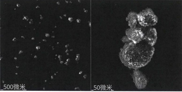 Burning Rate Characterization of Ammonium Perchlorate PelletsContaining Micro- and Nano-Catalytic Additives(含微纳催化添加剂的高氯酸铵颗粒的燃速表征)