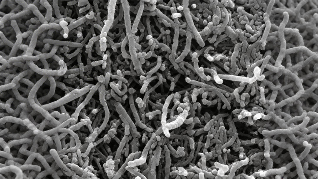 基于声共振混合制备高性能碳纳米管/树脂复合材料